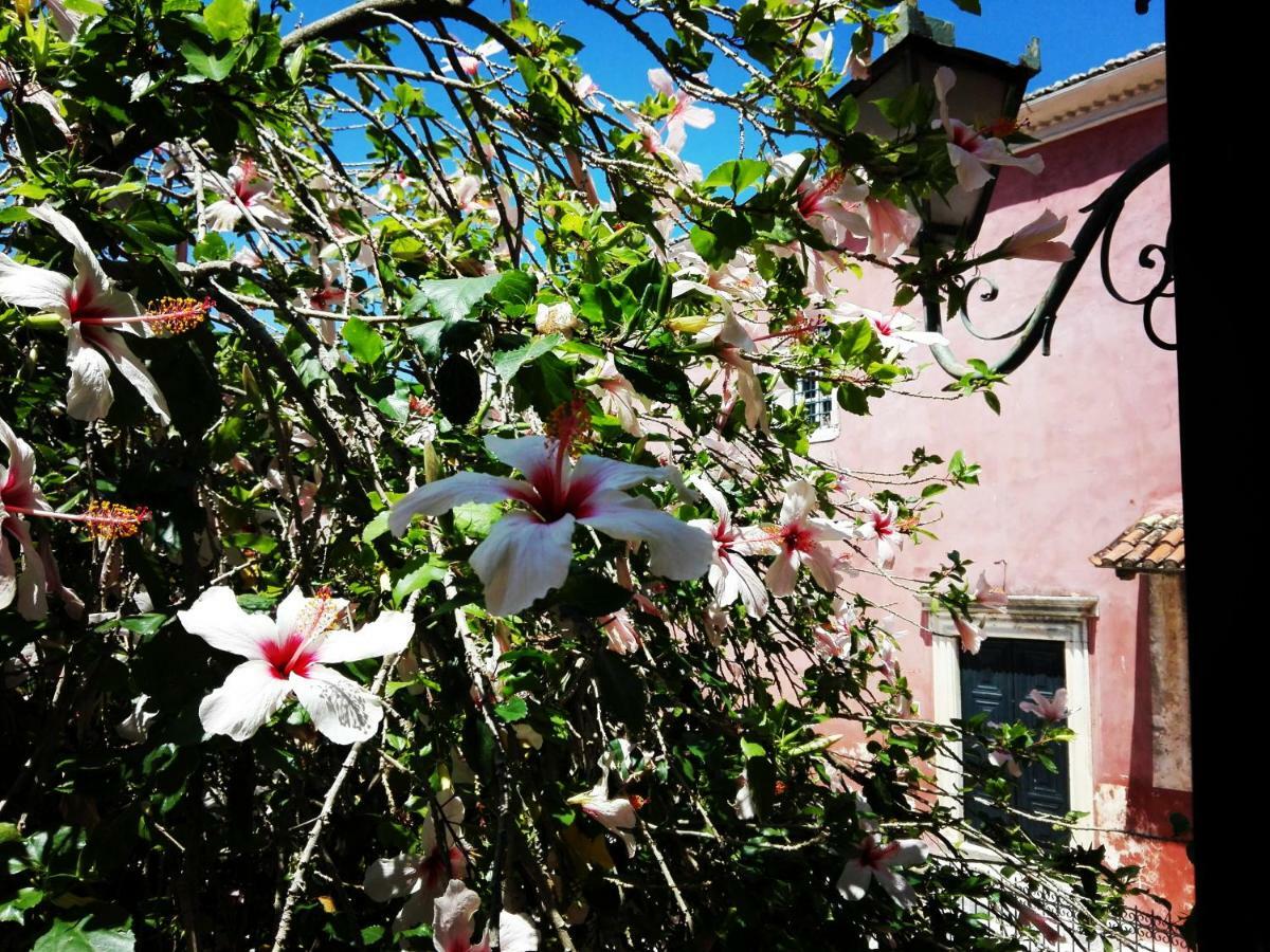 Venetian Well Cozy Apartment Corfu Old Town Exterior photo